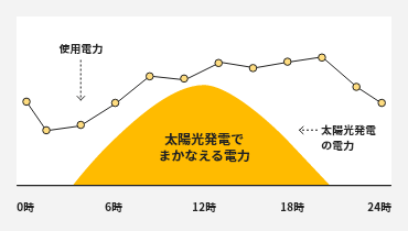 自家消費型